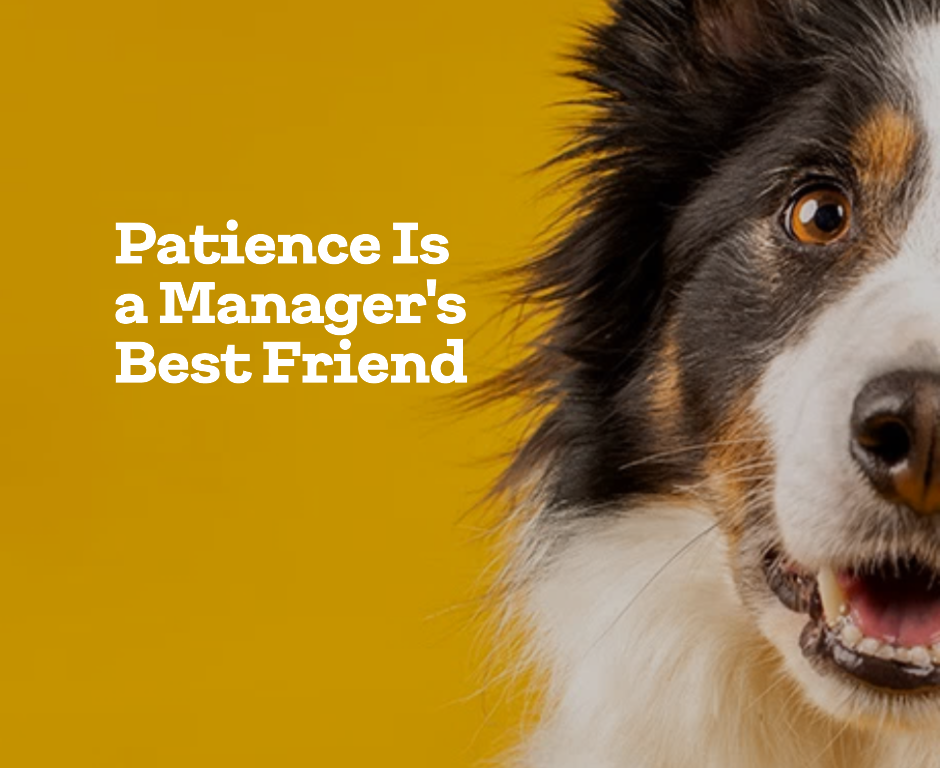 Patience is a Manager's Best Friend